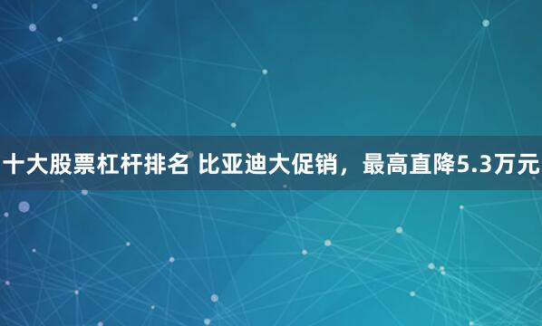 十大股票杠杆排名 比亚迪大促销，最高直降5.3万元